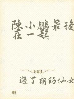 陈小鹏最后和谁在一起