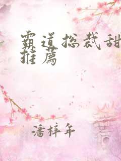 霸道总裁甜宠文推荐