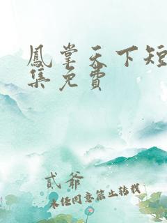 凤掌天下短剧全集免费
