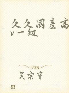 久久国产高清av一级