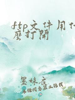 ftp文件用什么打开