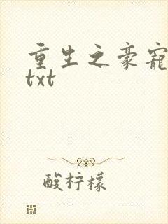 重生之豪宠娇妻txt