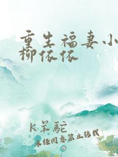 重生福妻小神医柳依依