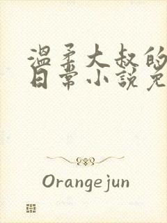 温柔大叔的恋爱日常小说免费阅读