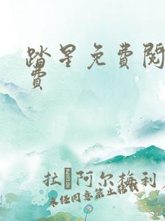 踏星免费阅读免费