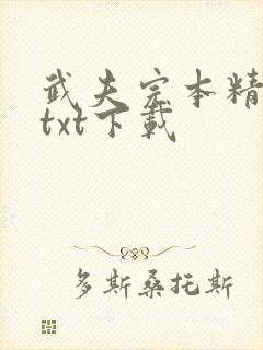 武夫完本精校版txt下载