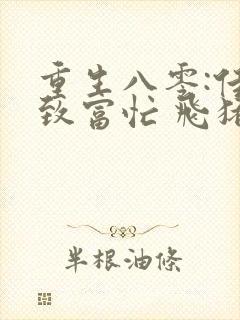 重生八零:佳妻致富忙 飞猪猪