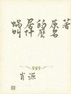 蜗居的原著小说叫什么名