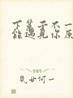 下辈子不一定还能遇见你原唱