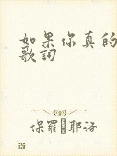 如果你真的爱我歌词