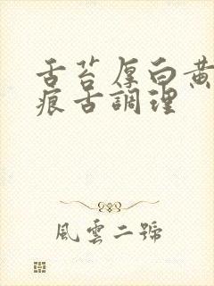 舌苔厚白黄有齿痕舌调理