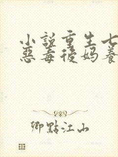 小说重生七零:恶毒后妈养娃记,