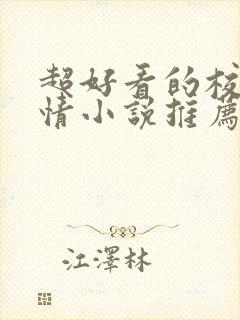 超好看的校园言情小说推荐