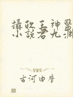 摄政王神医狂妃小说君九渊