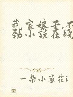 我家娘子,不对劲小说在线免费阅读