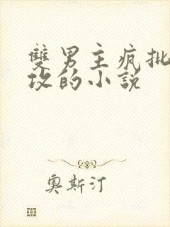 双男主疯批偏执攻的小说