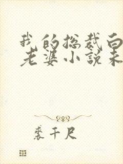 我的总裁白富美老婆小说未删减在线看