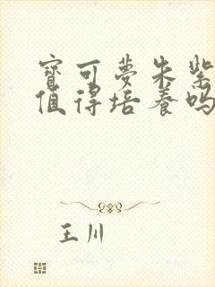 宝可梦朱紫胖丁值得培养吗