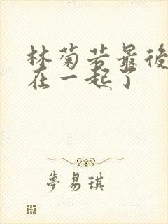 林菊若最后和谁在一起了