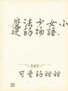 魔法少女小圆叛逆的物语.