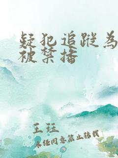 疑犯追踪为什么被禁播