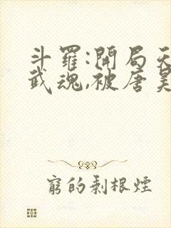 斗罗:开局天使武魂,被唐昊追杀小说