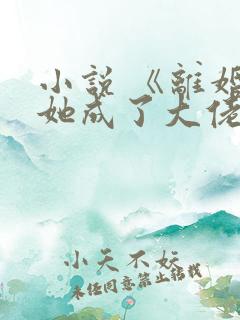 小说 《离婚后她成了大佬心尖宠》