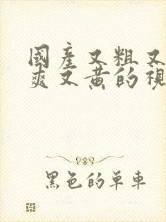 国产又粗又猛又爽又黄的视频网站