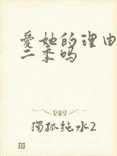 爱她的理由有第二季吗