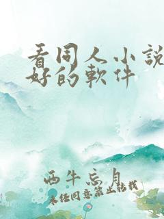 看同人小说比较好的软件