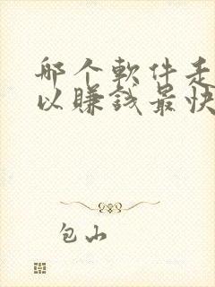 哪个软件走路可以赚钱最快