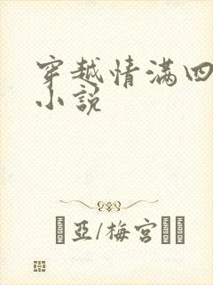 穿越情满四合院小说