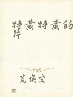 特黄特黄的一级片