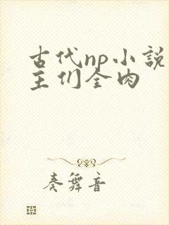 古代np小说男主们全肉