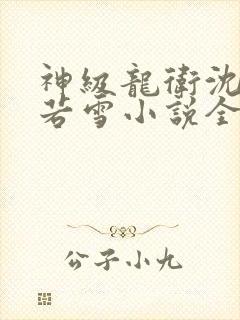 神级龙卫沈浪苏若雪小说全篇