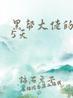 黑帮大佬的365天