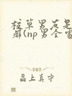 校草男友是绿帽癖(np男全处)