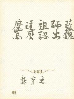 魔道祖师蓝忘机怎么认出魏无羡的