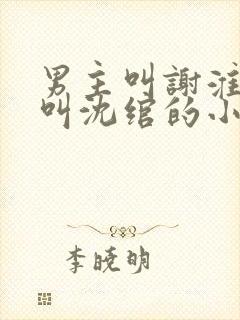男主叫谢淮女主叫沈绾的小说