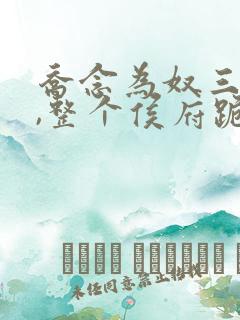 乔念为奴三年后,整个侯府跪求我原谅