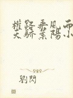 权路乘风而起化天骄叶阳小说阅读