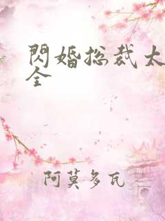 闪婚总裁太霸道全