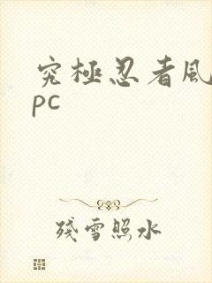 究极忍者风暴4pc