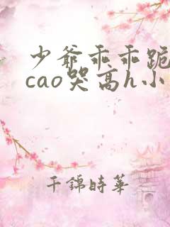 少爷乖乖跪趴被cao哭高h小说