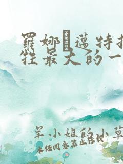 罗娜·迈特拉牺牲最大的一部电影