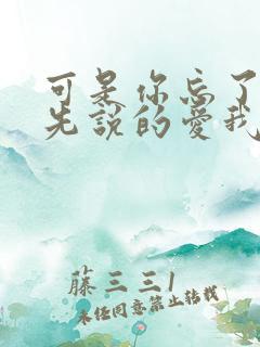 可是你忘了是你先说的爱我