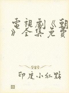 电视剧《朝雪录》全集免费观看