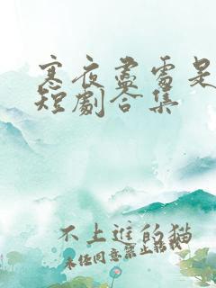 寒夜尽处是卿心短剧合集