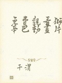 免费观看狮子王辛巴动画片正版