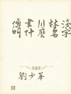 傅聿川林浅小说叫什么名字